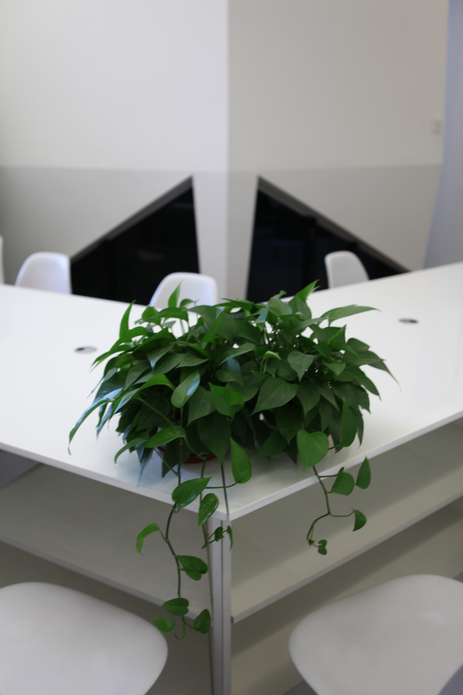 嘉定區(qū)小清新辦公室裝修設(shè)計案例-第6張圖片-上海古都建筑設(shè)計集團(tuán) 嘉定區(qū)小清新辦公室裝修設(shè)計案例-第6張圖片-上海古都建筑設(shè)計集團(tuán)